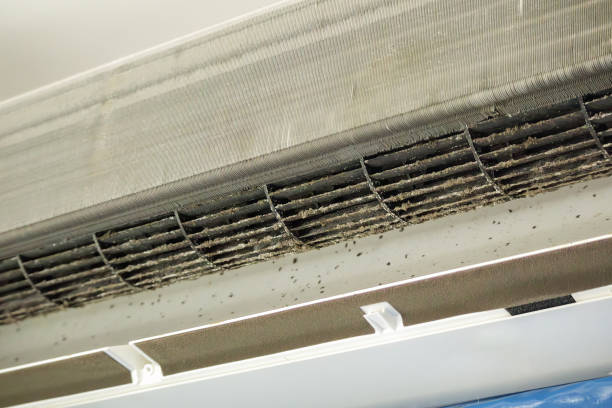 Best Affordable HVAC Duct Cleaning  in Skyline View, PA